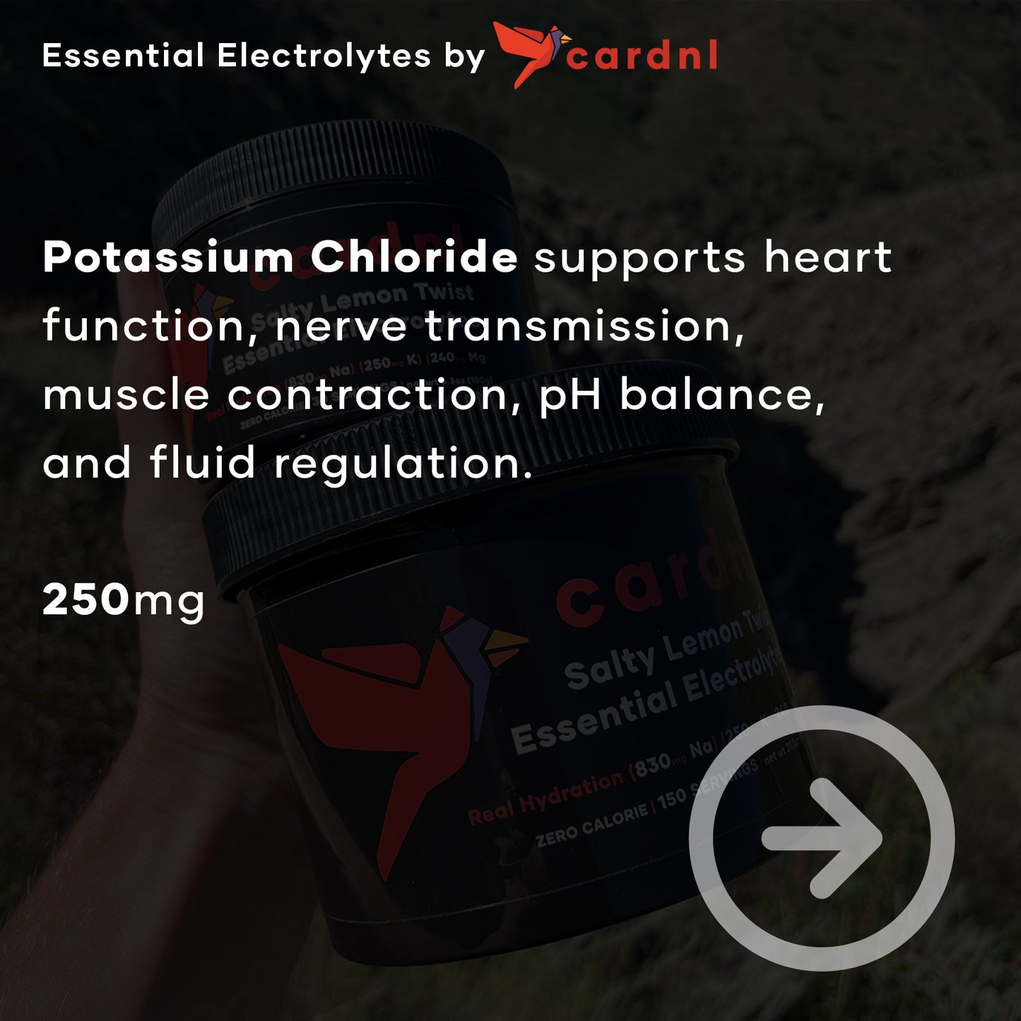 Potassium Chloride supports heart function, nerve transmission, muscle contraction, pH balance, and fluid regulation.